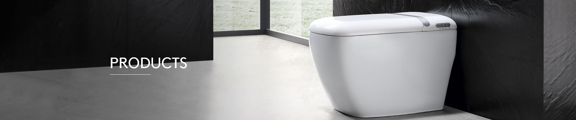 Tankless Smart Toilet