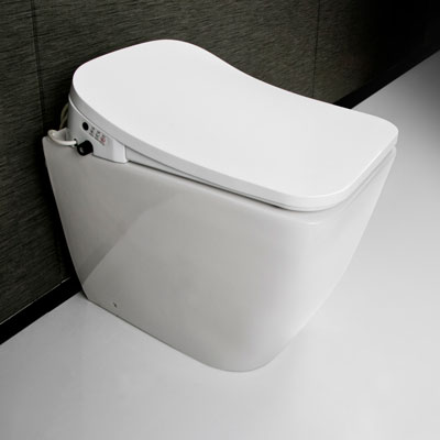  Advanced Bidet Seat With Self-sanitizing Wand Electric Toilets Seat AK-6801G