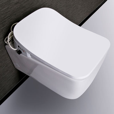 Intelligent Bidet Purchasing Guide