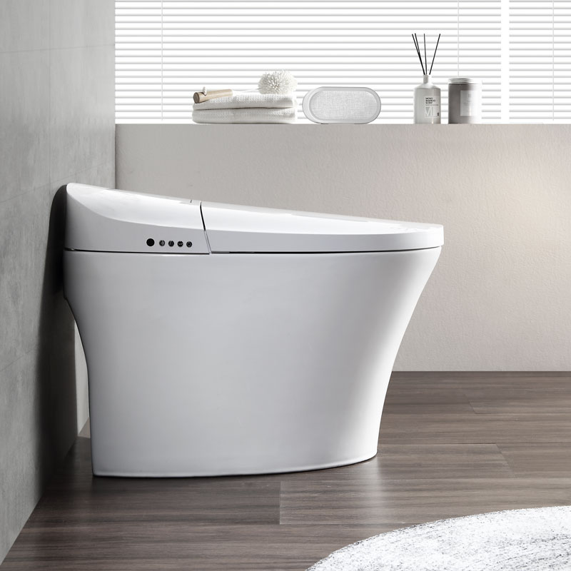 Why you need to try a smart toilet?
