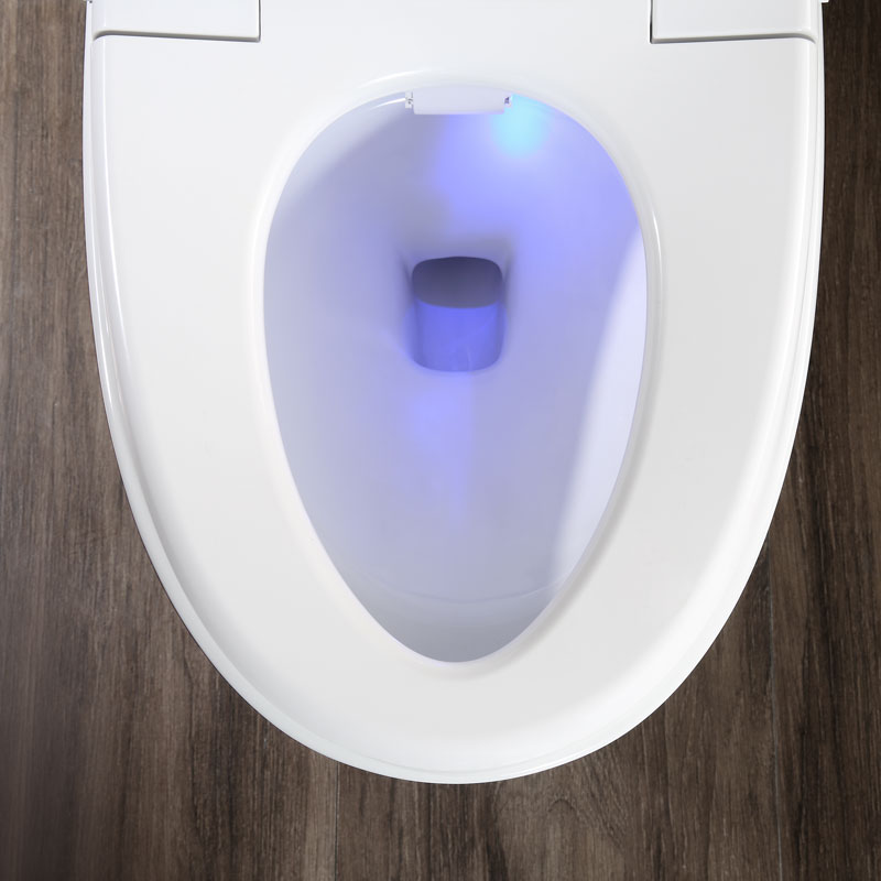 Smart Toilet Bowl Tankless Floor Mounted High Quality Smart Toilet MA-915