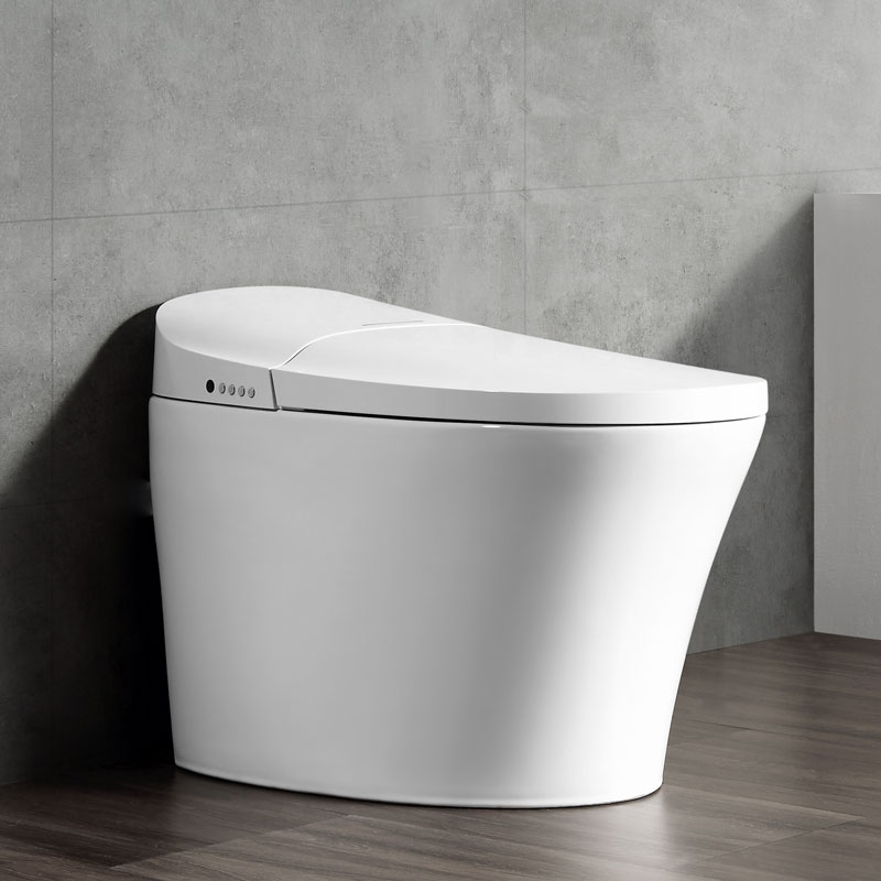 Smart Toilet Bowl Tankless Floor Mounted High Quality Smart Toilet MA-915