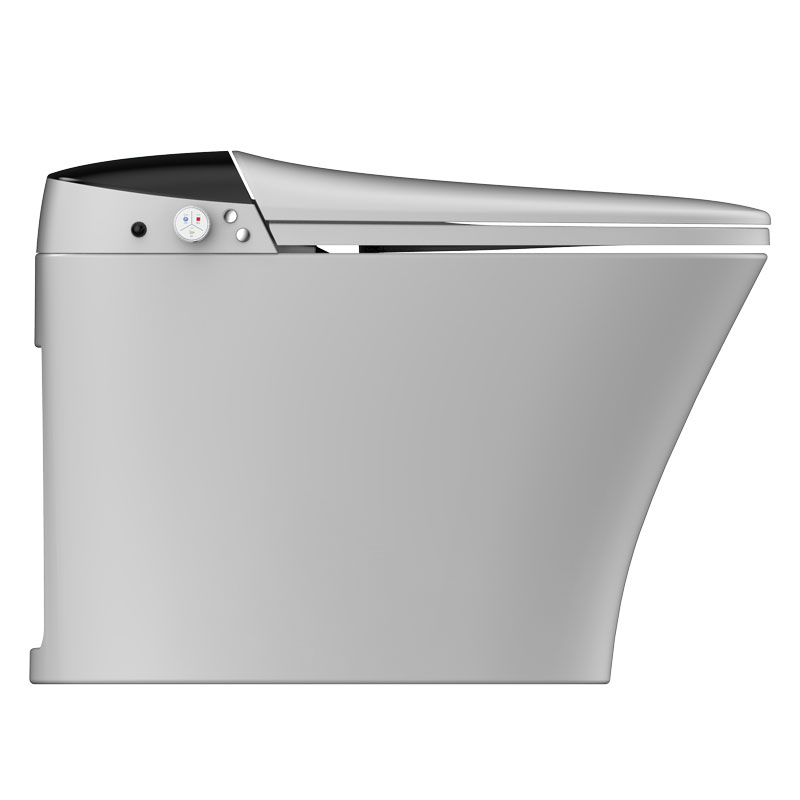 Smart Toilet Seats Bidet Bathroom One Piece Smart WC Toilet MA-928