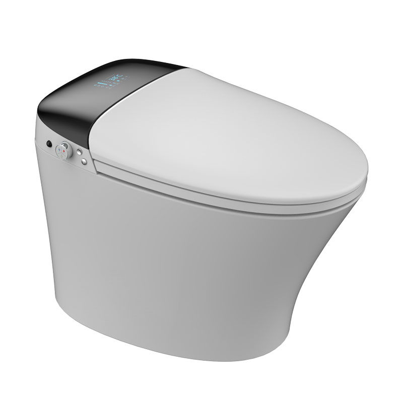 Smart Toilet Seats Bidet Bathroom One Piece Smart WC Toilet MA-928