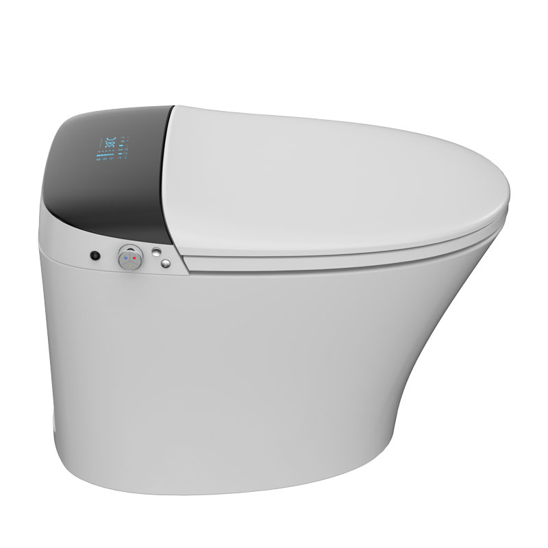 Smart Toilet Seats Bidet Bathroom One Piece Smart WC Toilet MA-928