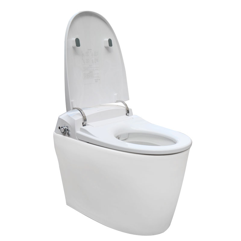 Modern Smart Toilet Hot Selling Smart Sanitary Ware MA-Q8