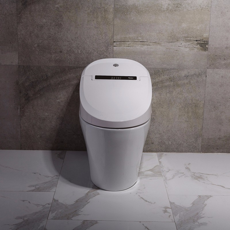 TA-530ZA Hi-tech Drying Position Adjustable Clean Bidet