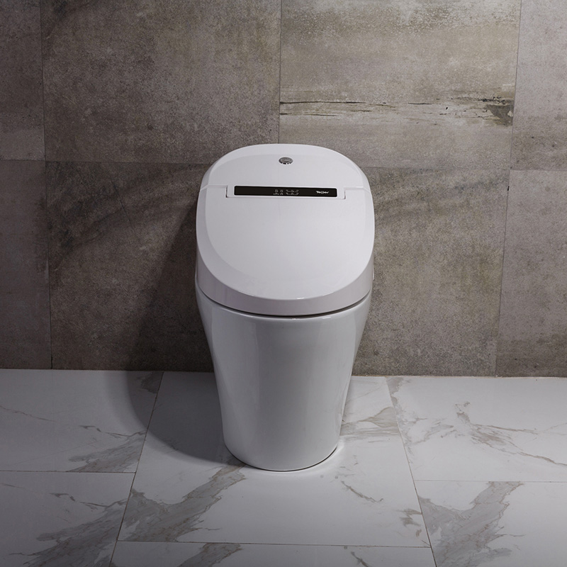 TA-530ZA Hi-tech Drying Position Adjustable Clean Bidet