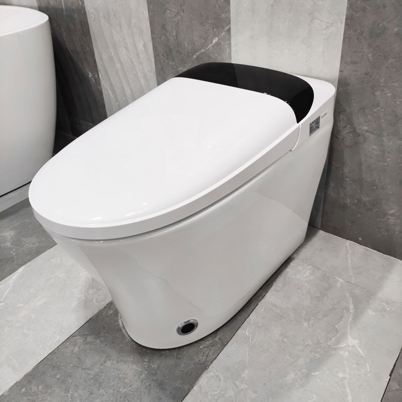 Prodigy Smart Toilet Tankless Remote Control Intelligent Toilet MA-9505