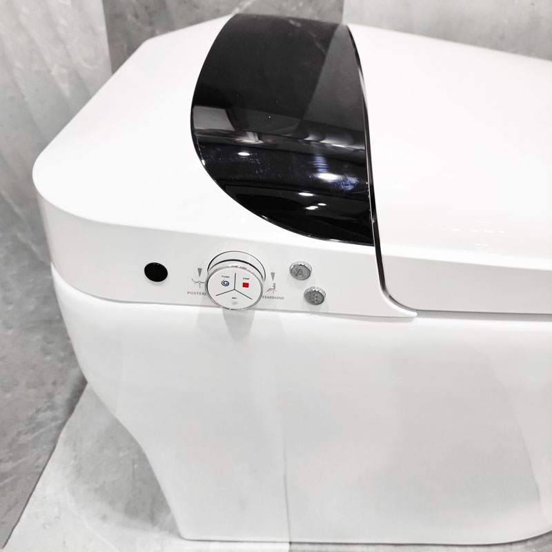 Prodigy Smart Toilet Tankless Remote Control Intelligent Toilet MA-9505