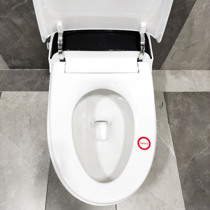 Prodigy Smart Toilet Tankless Remote Control Intelligent Toilet MA-9505