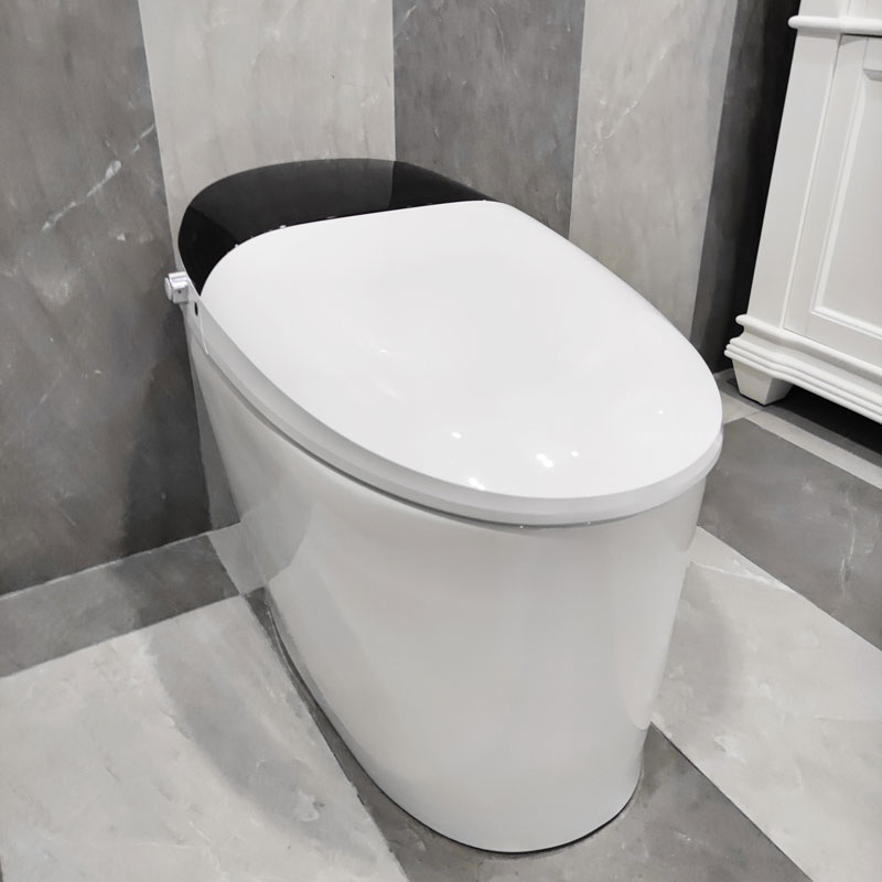 Smart Toilet Prodigy Bathroom Intelligent Electric One Piece Toilets MA-A10