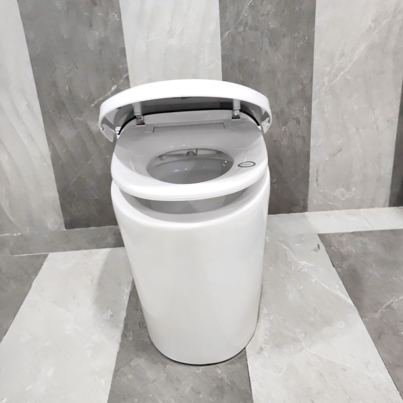 Smart Toilet Prodigy Bathroom Intelligent Electric One Piece Toilets MA-A10