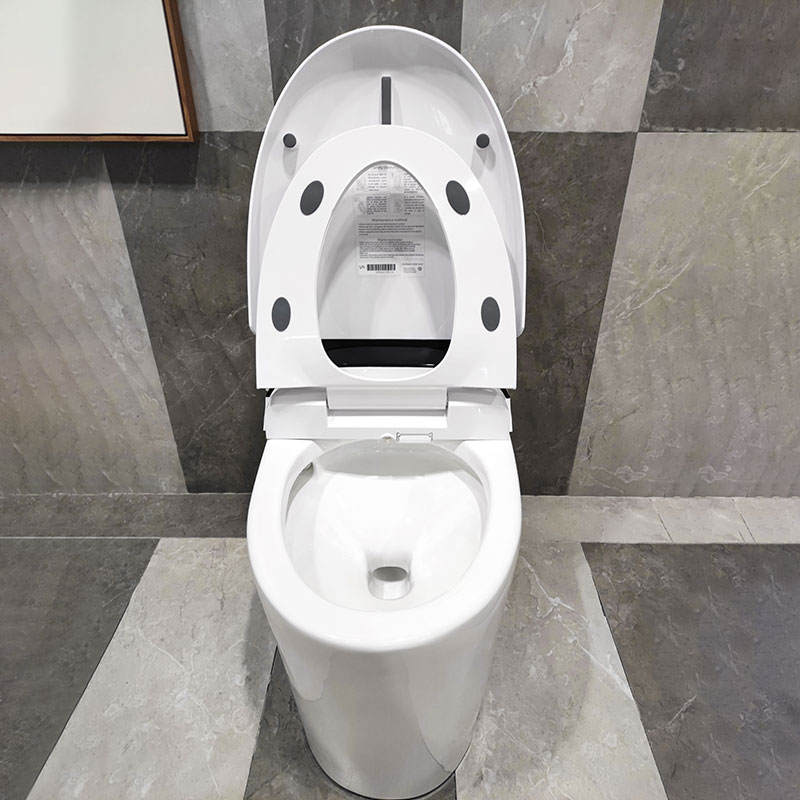 Smart Toilet Prodigy Bathroom Intelligent Electric One Piece Toilets MA-A10