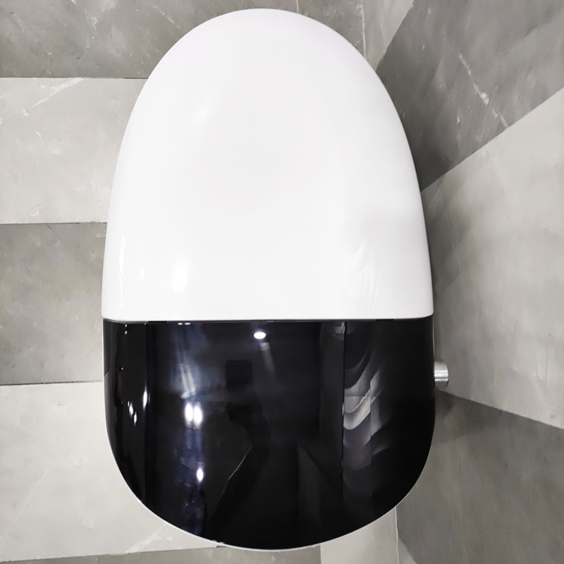 Smart Toilet Prodigy Bathroom Intelligent Electric One Piece Toilets MA-A10