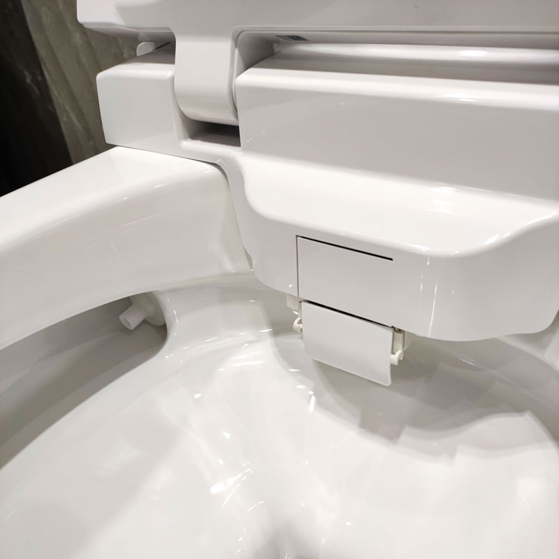 Smart Toilet One Piece Bathroom Hot Selling Sanitary Ware MA-918