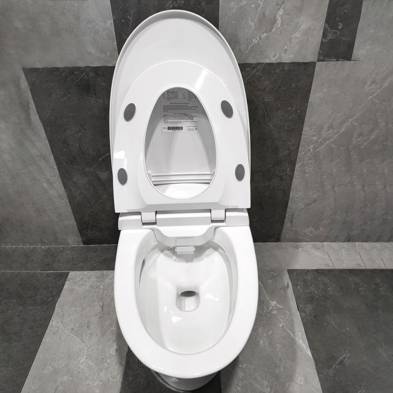 automatic toilet