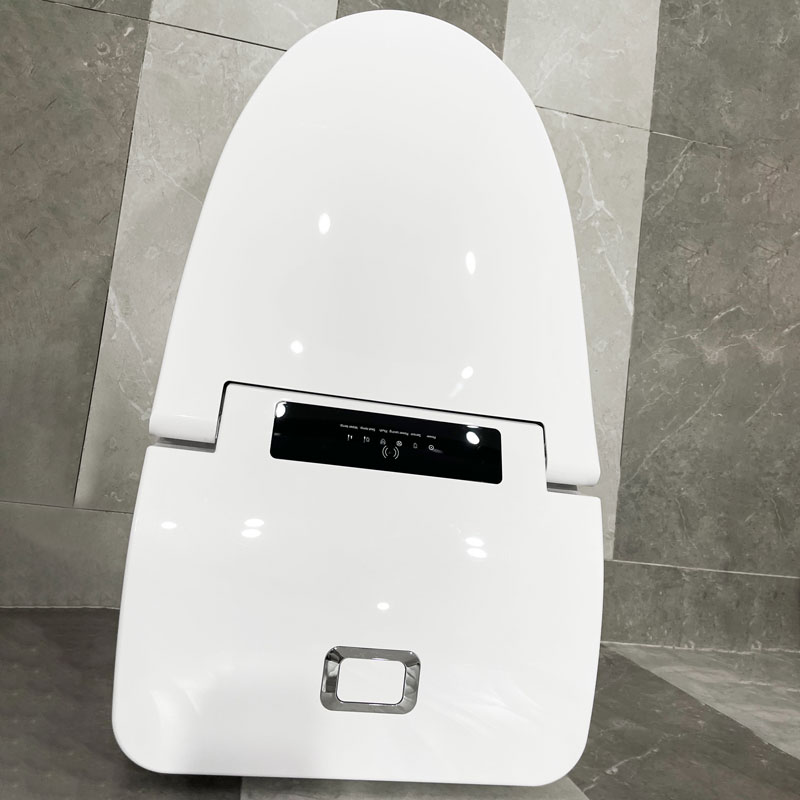 Smart Toilet Hot Selling Intelligent Toilet Bowl With Cistern MA-7636
