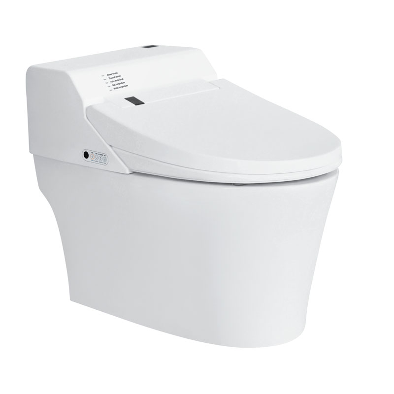 Intelligent Bathroom Smart Toilet With Cistern One Piece Toilets MA-750