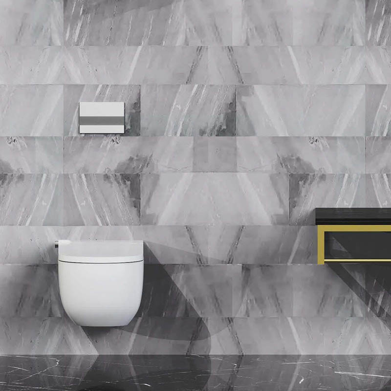 Western Wall Hung Intelligent Bidet Bathroom Floating Shower Smart WC Toilet