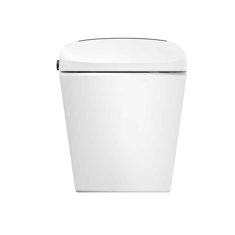 Heated Smart Bidet Toilet American Standard UL Electric Shower Toilet  MA-M17