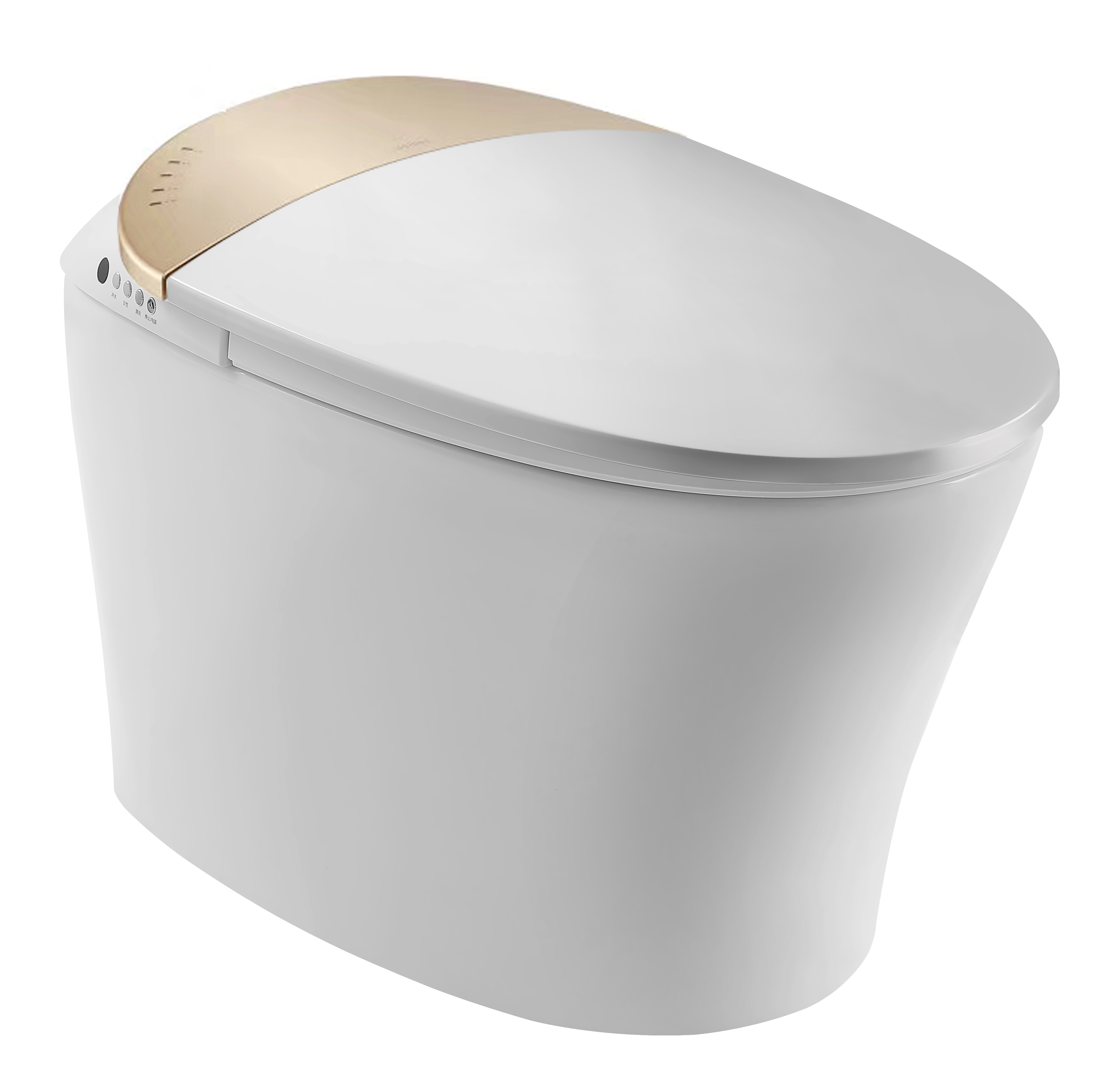Golden Integrated Intelligent japan Bidet Toilet MA-918 Self Cleaning wc