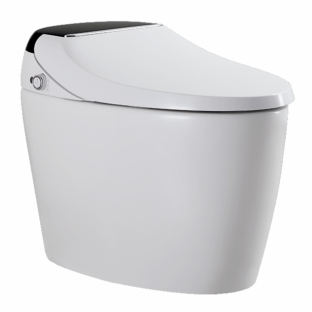 Wireless Remote Bidet Automatic Flushing Smart Japanese Toilet M803-DS