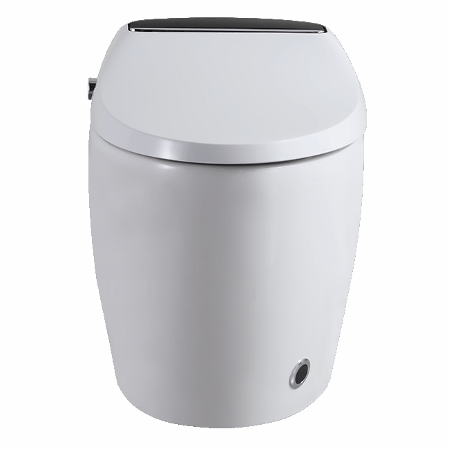 Wireless Remote Bidet Automatic Flushing Smart Japanese Toilet M803-DS