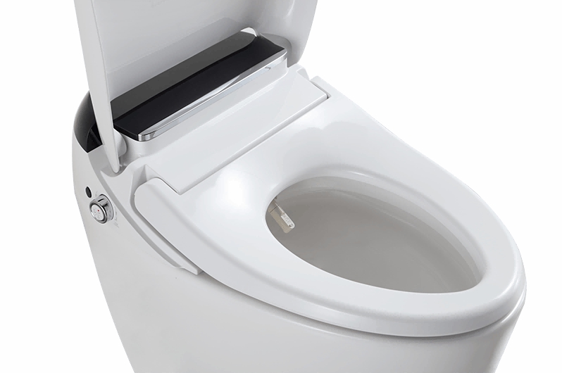 Wireless Remote Bidet Automatic Flushing Smart Japanese Toilet M803-DS