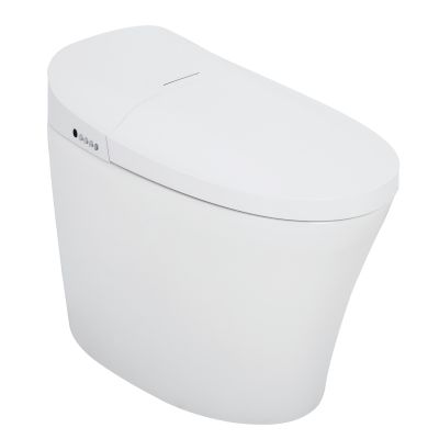 Smart Toilet Bowl Tankless Floor Mounted High Quality Smart Toilet MA-915