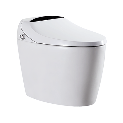 Smart Hygiene Bidet Warm-water Cleansing Intellignet Smart WC Toilets M806-DS