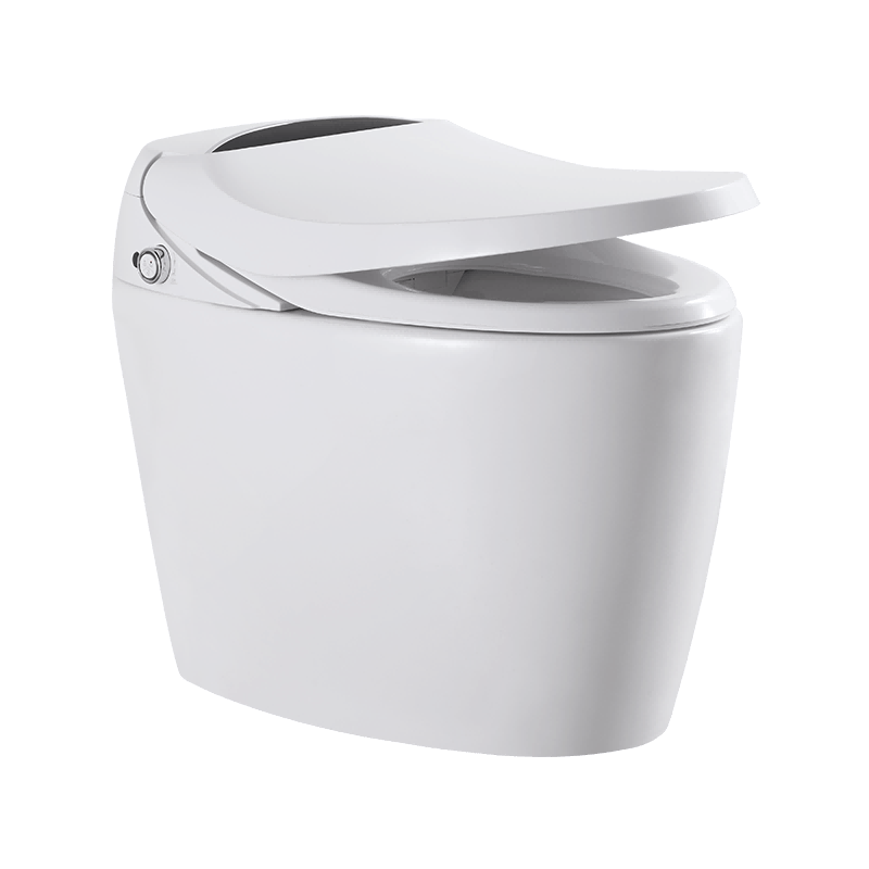 Smart Hygiene Bidet Warm-water Cleansing Intellignet Smart WC Toilets M806-DS