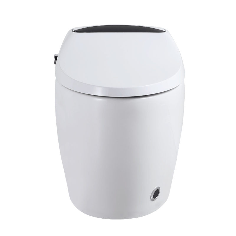 Smart Hygiene Bidet Warm-water Cleansing Intellignet Smart WC Toilets M806-DS