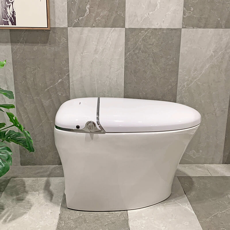 smart toilet bidet