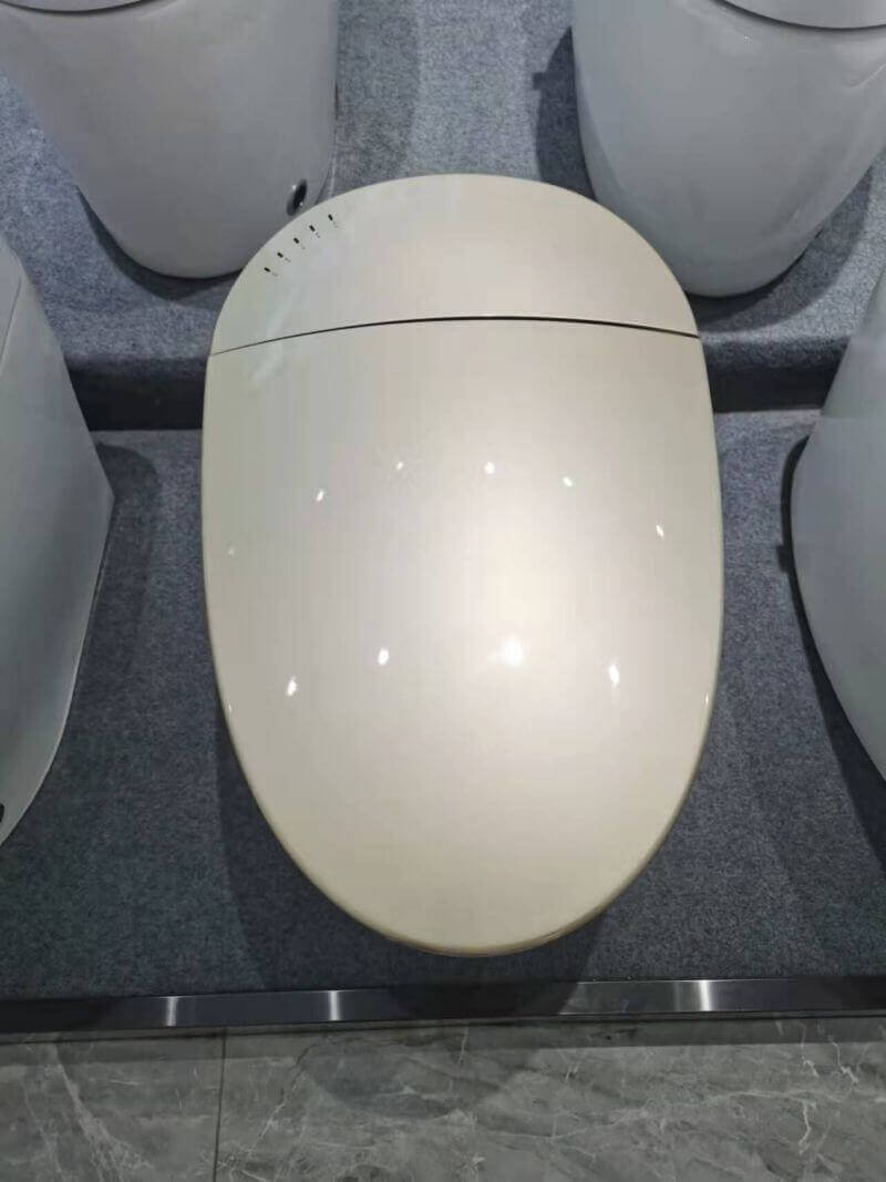 smart toilet bidet