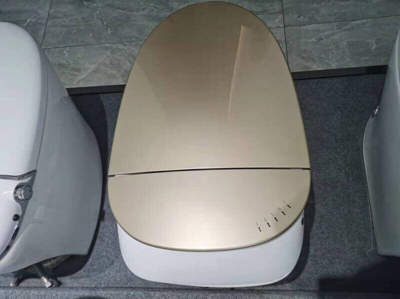 automatic toilet