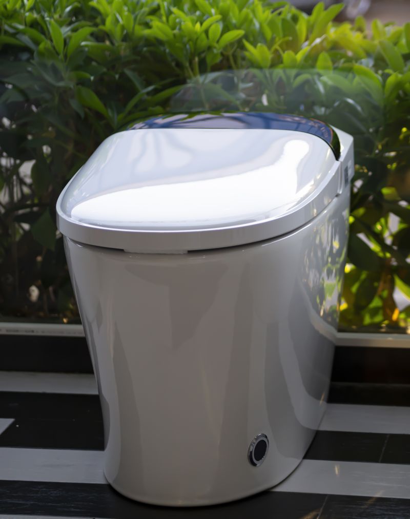 intelligent bidet toilet seat